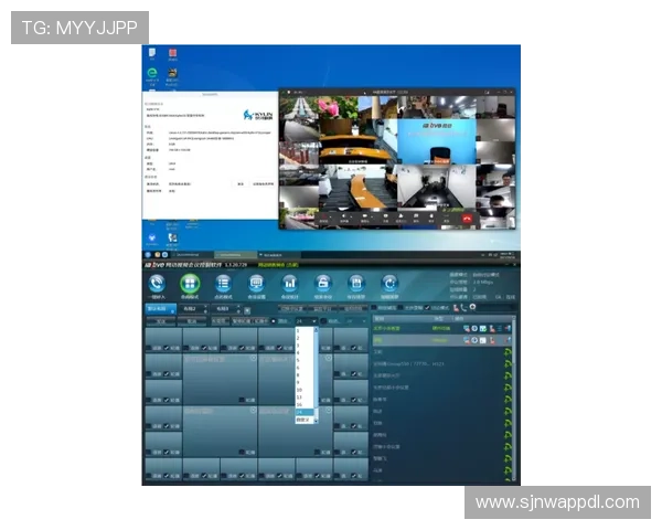 探索PG猿宇宙电子站的多平台支持与移动端优化策略